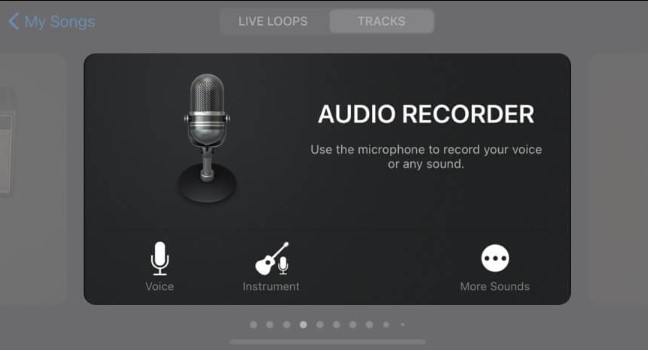 In Audio Recorder Option Tap On Voice