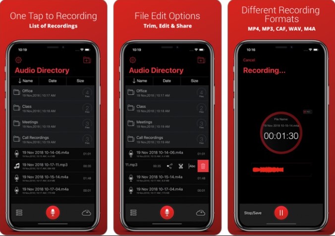 Screenshot of the Recorder Plus App for iPhone and iPad